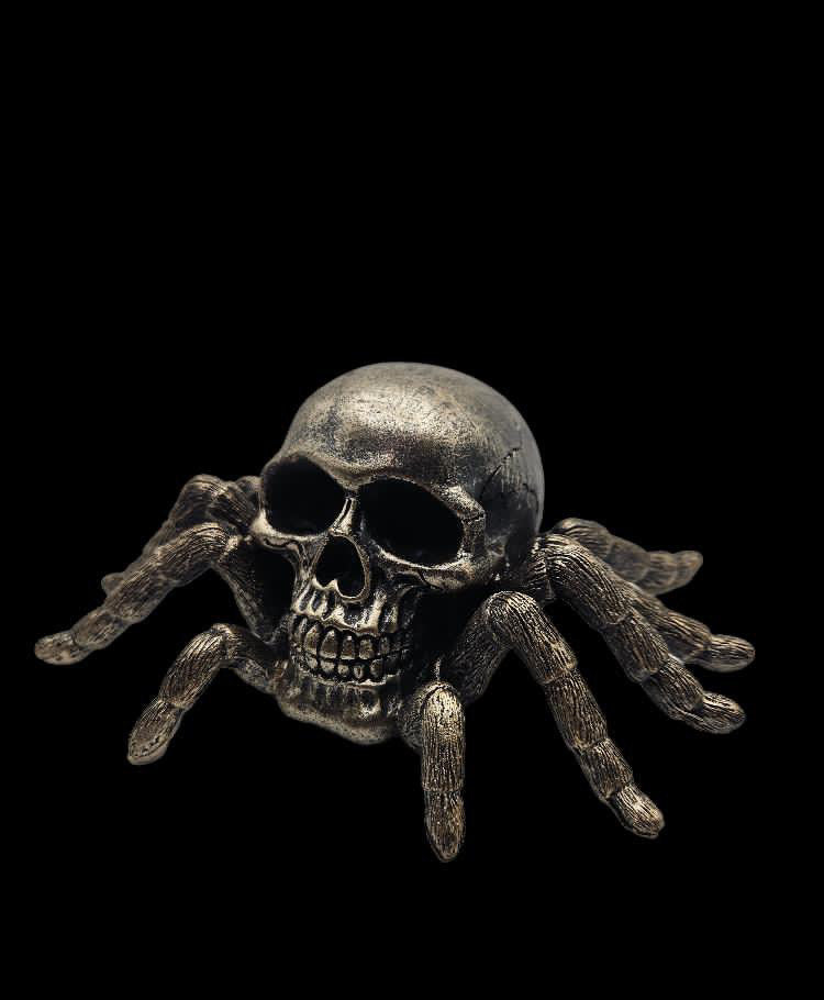 Spider Skull